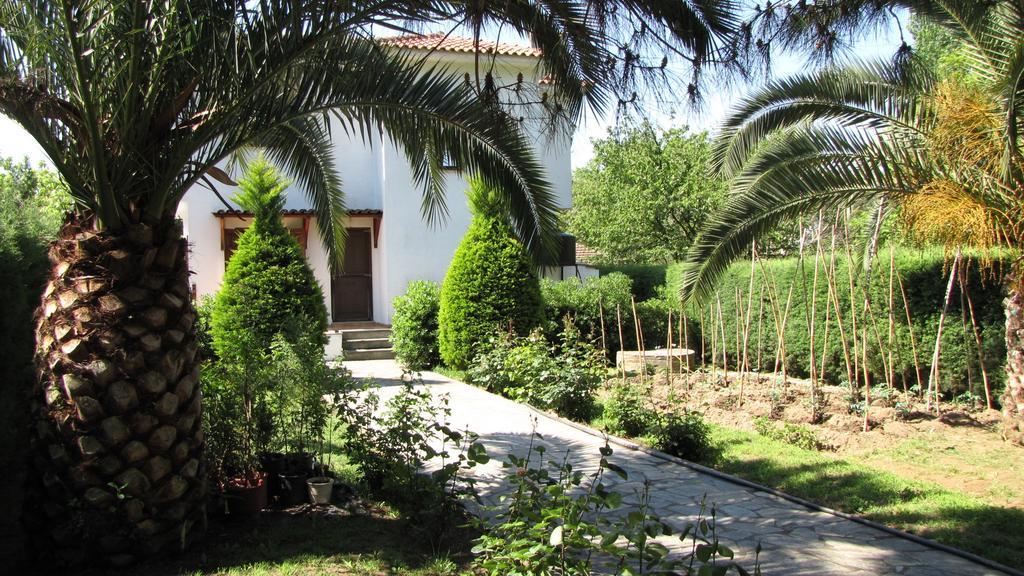 El Villa Pelion Khórto Luaran gambar